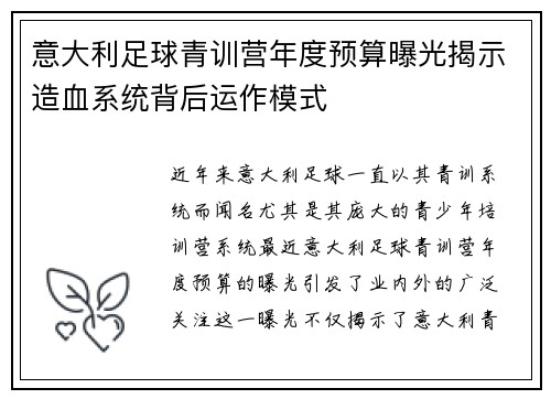 意大利足球青训营年度预算曝光揭示造血系统背后运作模式