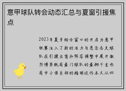 意甲球队转会动态汇总与夏窗引援焦点