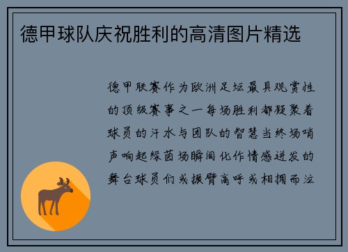 德甲球队庆祝胜利的高清图片精选