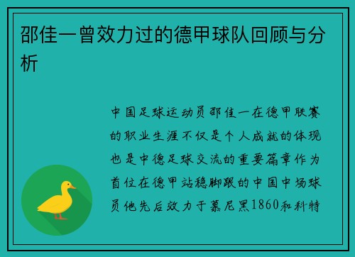 邵佳一曾效力过的德甲球队回顾与分析